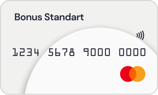 ING Bonus Standart kredi kartı